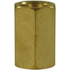 FEMALE TO FEMALE BRASS SOCKET ADAPTOR-3/8