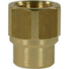 FEMALE TO FEMALE BRASS SOCKET ADAPTOR-1/8