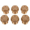 INTERPUMP KIT 4 BRASS VALVE PLUGS (X6)