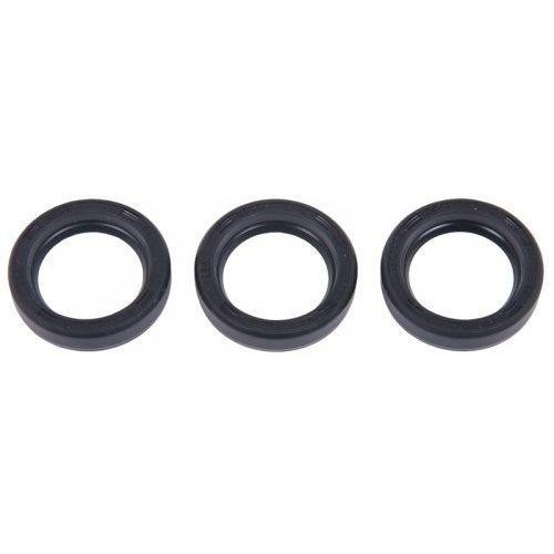 INTERPUMP KIT 83 OIL SEAL KIT (X3)