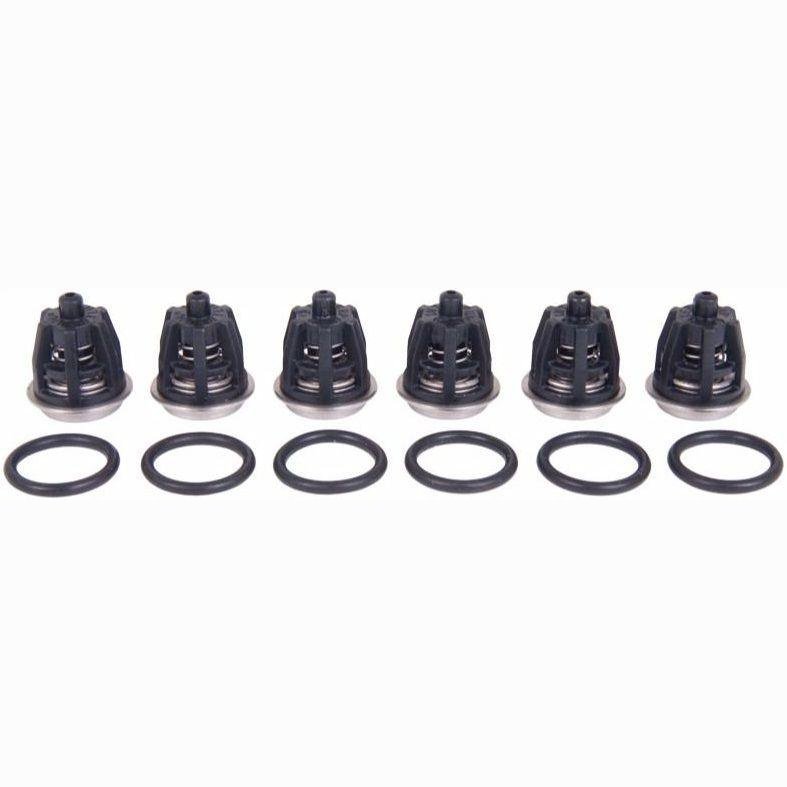 INTERPUMP KIT 62 VALVE KIT (X6)